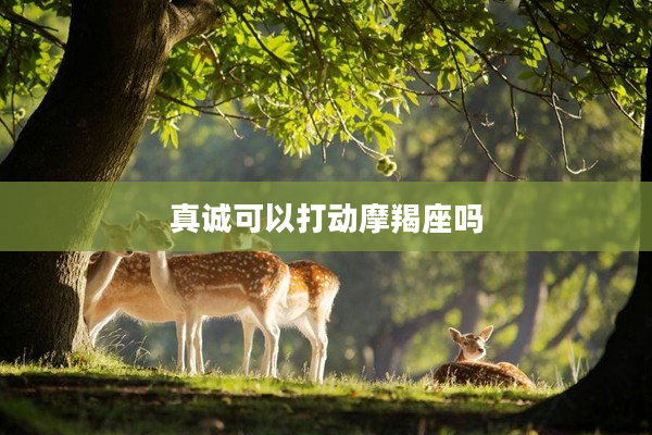 真誠可以打動摩羯座嗎