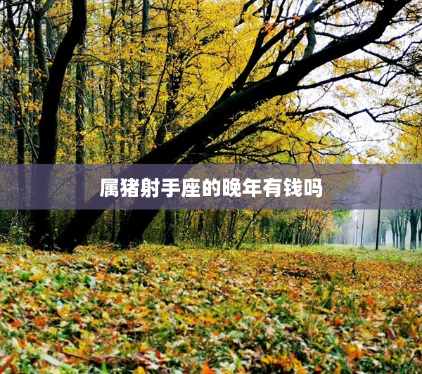 屬豬射手座的晚年有錢嗎