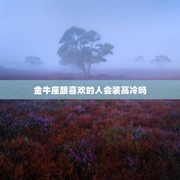 金牛座跟喜歡的人會裝高冷嗎