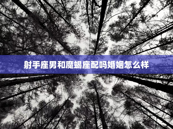 射手座男和魔蝎座配嗎婚姻怎么樣