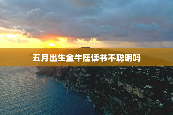 五月出生金牛座讀書不聰明嗎