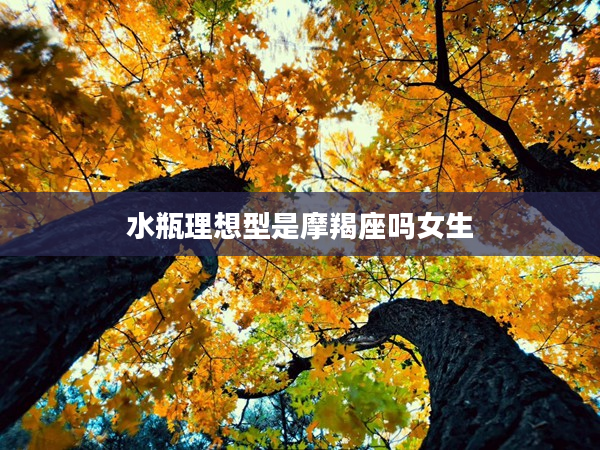 水瓶理想型是摩羯座嗎女生