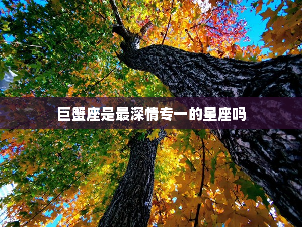 巨蟹座是最深情專一的星座嗎