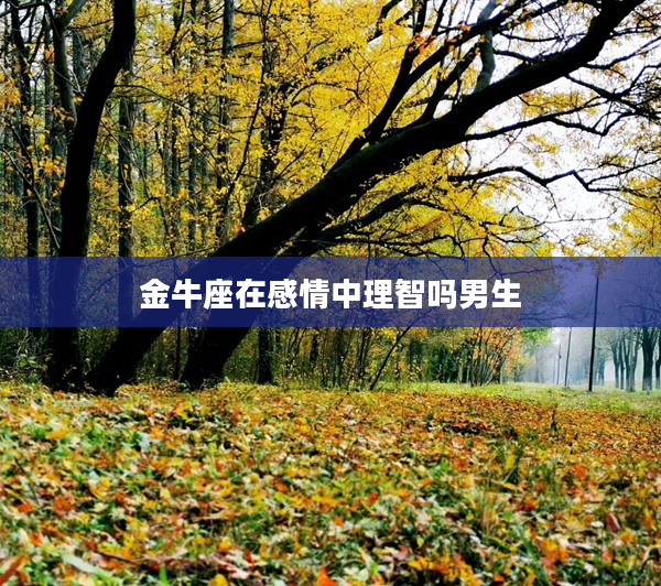 金牛座在感情中理智嗎男生