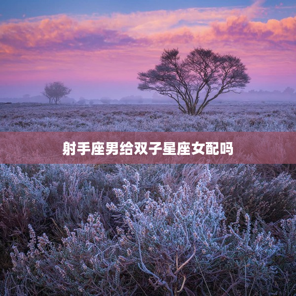 射手座男給雙子星座女配嗎