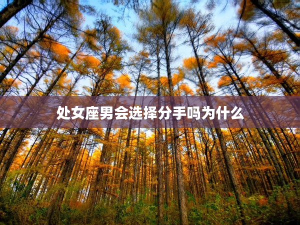 處女座男會選擇分手嗎為什么