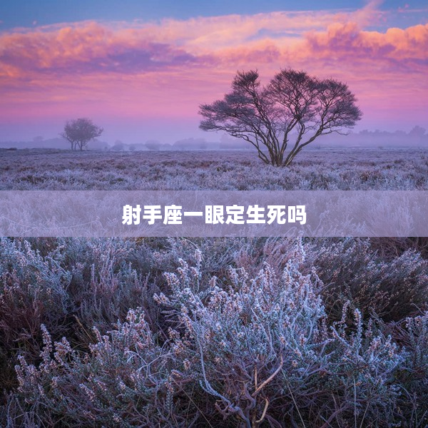 射手座一眼定生死嗎