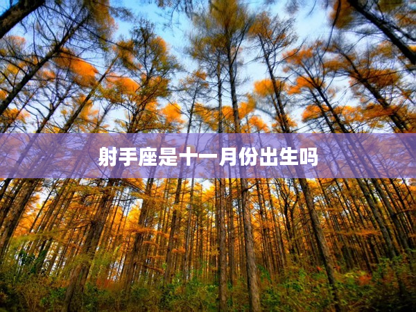 射手座是十一月份出生嗎