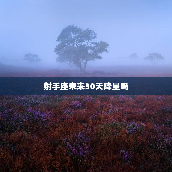 射手座未來30天降星嗎