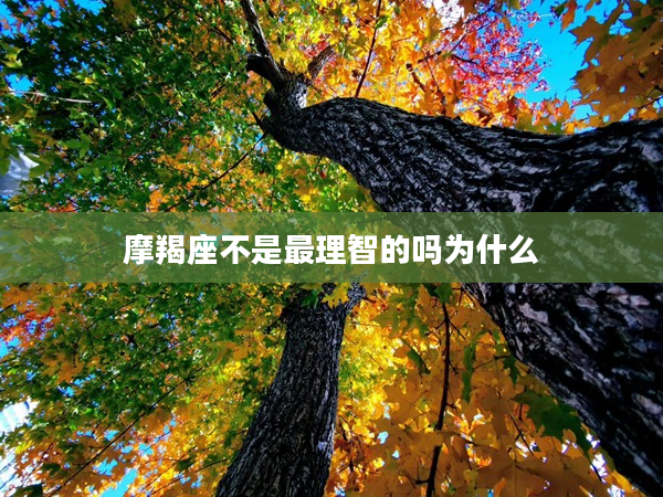 摩羯座不是最理智的嗎為什么