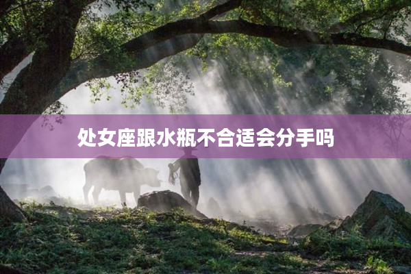 處女座跟水瓶不合適會分手嗎