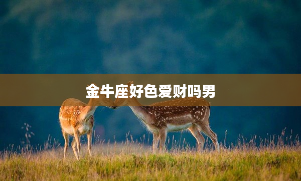金牛座好色愛財(cái)嗎男