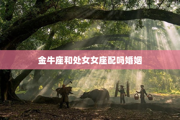 金牛座和處女女座配嗎婚姻