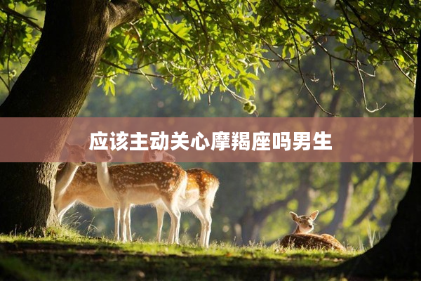 應該主動關心摩羯座嗎男生