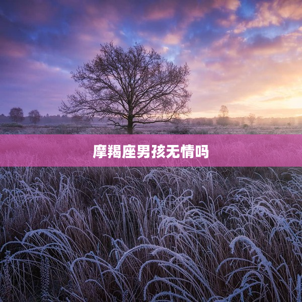 摩羯座男孩無情嗎