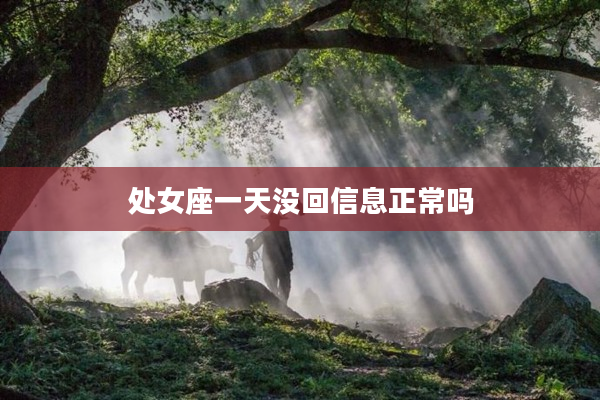 處女座一天沒回信息正常嗎