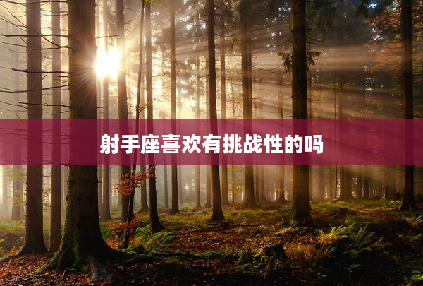 射手座喜歡有挑戰(zhàn)性的嗎