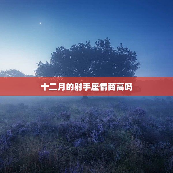 十二月的射手座情商高嗎