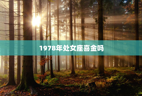 1978年處女座喜金嗎