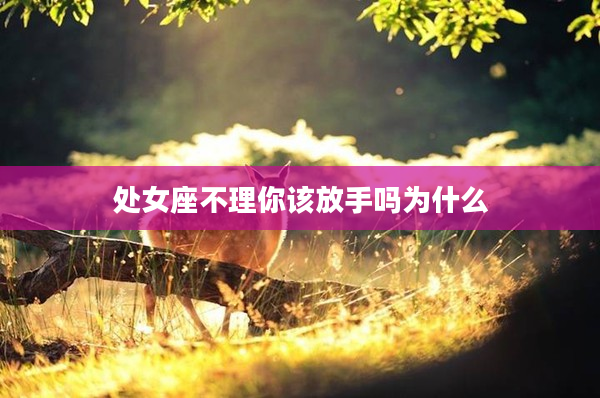 處女座不理你該放手嗎為什么