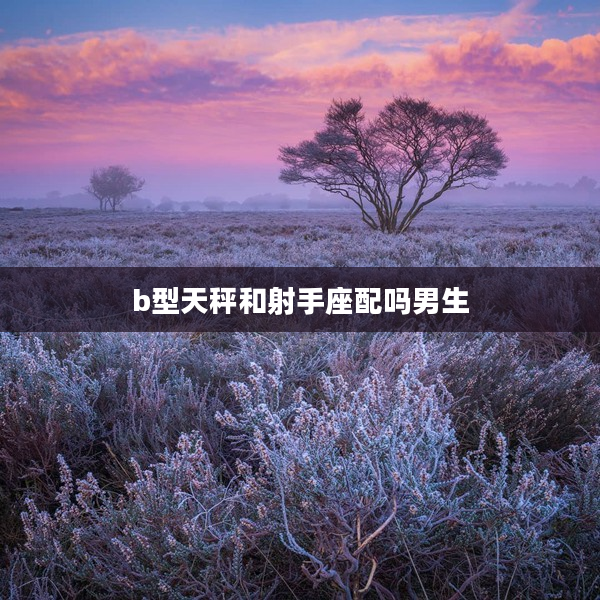 b型天秤和射手座配嗎男生