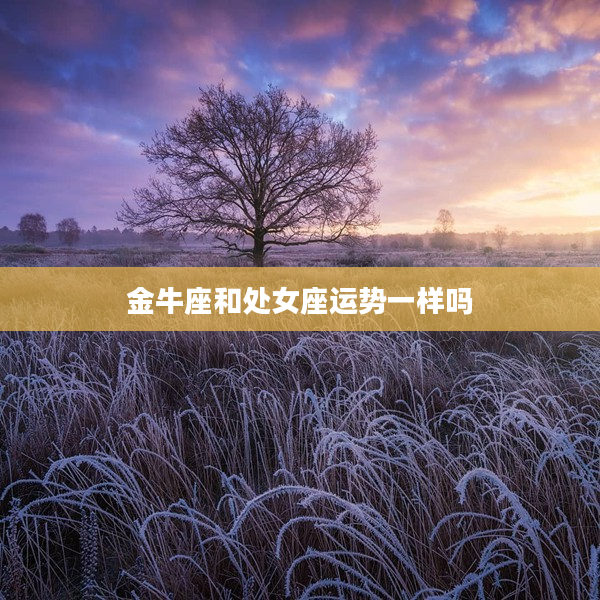 金牛座和處女座運勢一樣嗎