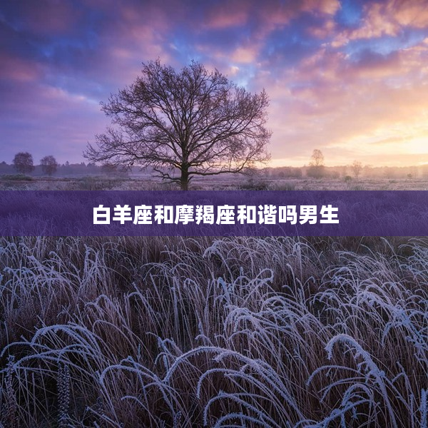 白羊座和摩羯座和諧嗎男生