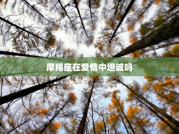 摩羯座在愛情中坦誠嗎