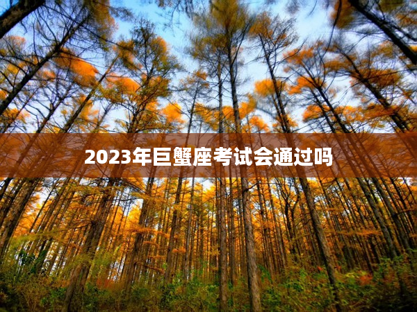 2023年巨蟹座考試會通過嗎