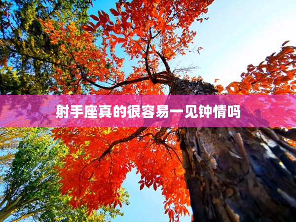 射手座真的很容易一見鐘情嗎