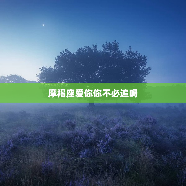 摩羯座愛你你不必追嗎