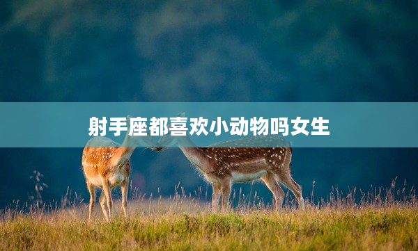 射手座都喜歡小動(dòng)物嗎女生