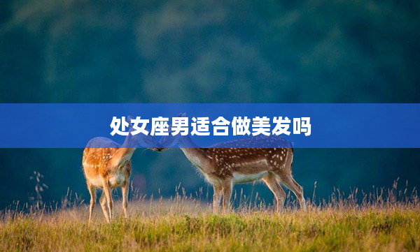 處女座男適合做美發嗎