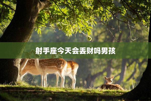 射手座今天會丟財嗎男孩