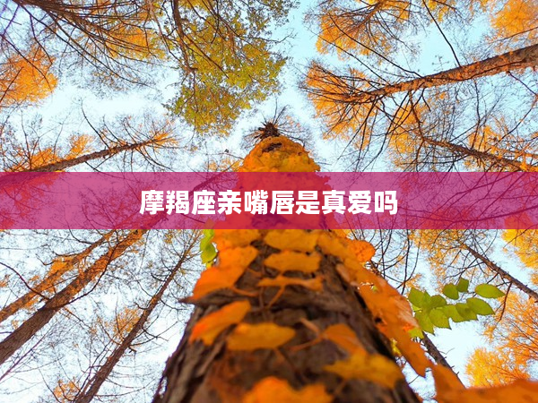 摩羯座親嘴唇是真愛嗎