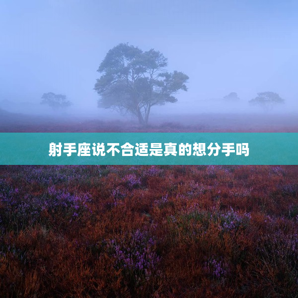 射手座說(shuō)不合適是真的想分手嗎