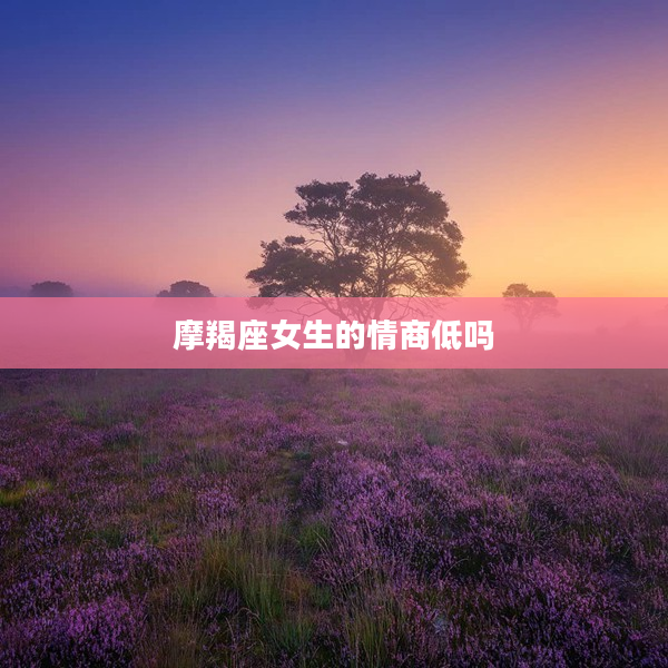 摩羯座女生的情商低嗎