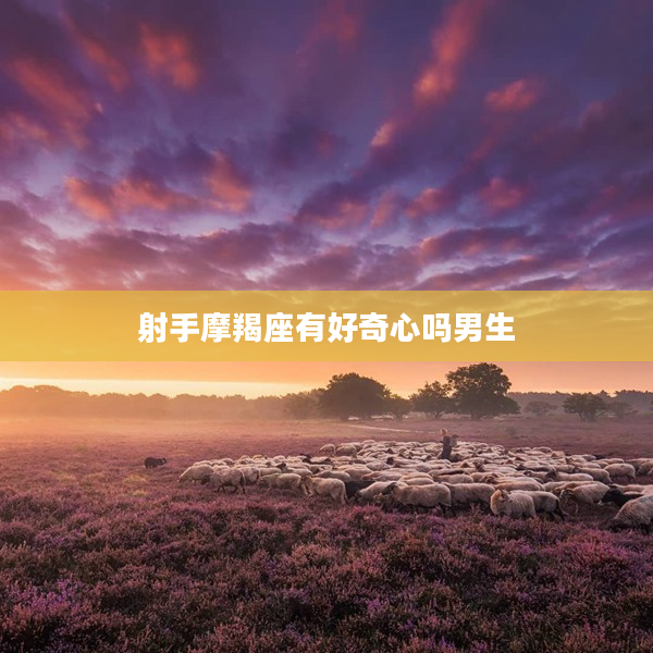 射手摩羯座有好奇心嗎男生