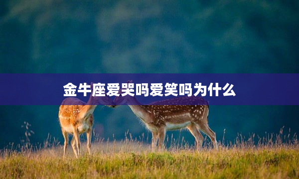 金牛座愛哭嗎愛笑嗎為什么