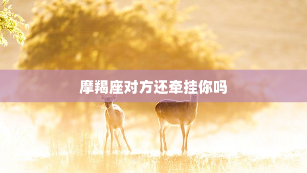 摩羯座對(duì)方還牽掛你嗎