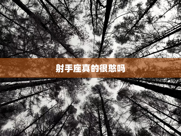 射手座真的很憨嗎