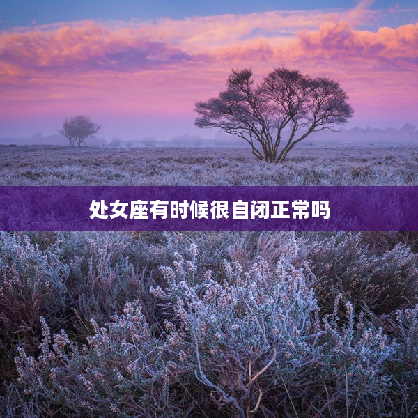 處女座有時候很自閉正常嗎