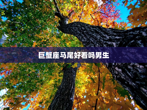 巨蟹座馬尾好看嗎男生