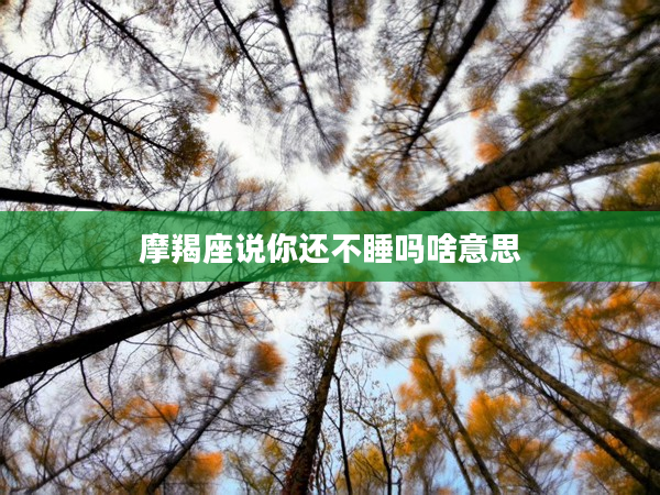 摩羯座說你還不睡嗎啥意思