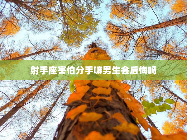 射手座害怕分手嘛男生會后悔嗎