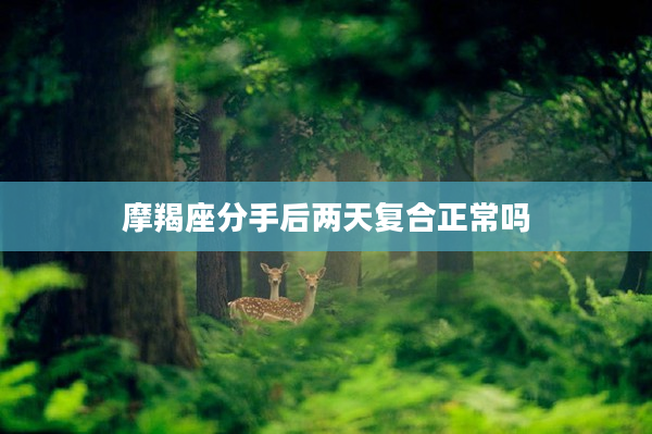 摩羯座分手后兩天復(fù)合正常嗎