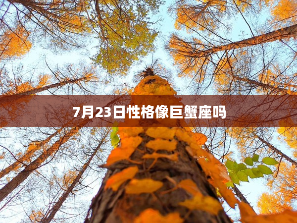 7月23日性格像巨蟹座嗎