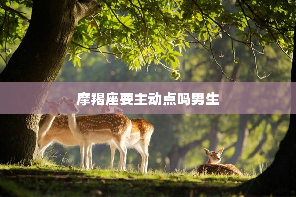 摩羯座要主動點(diǎn)嗎男生