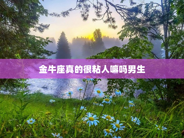 金牛座真的很粘人嘛嗎男生