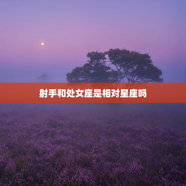 射手和處女座是相對星座嗎